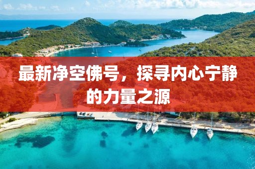 最新凈空佛號,探尋內(nèi)心寧靜的力量之源