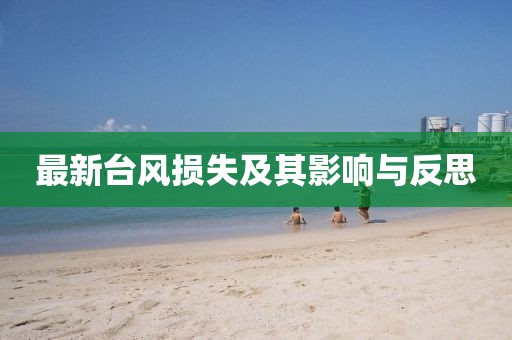 最新臺風損失及其影響與反思