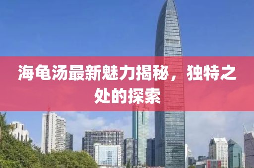 海龜湯最新魅力揭秘,獨特之處的探索