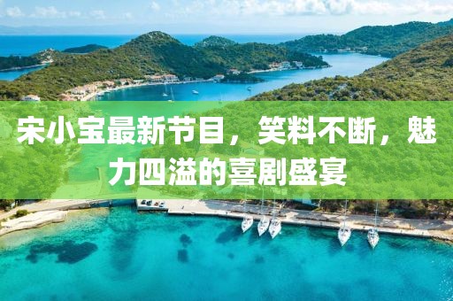 宋小寶最新節(jié)目,笑料不斷,魅力四溢的喜劇盛宴