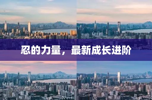 忍的力量,最新成長進階