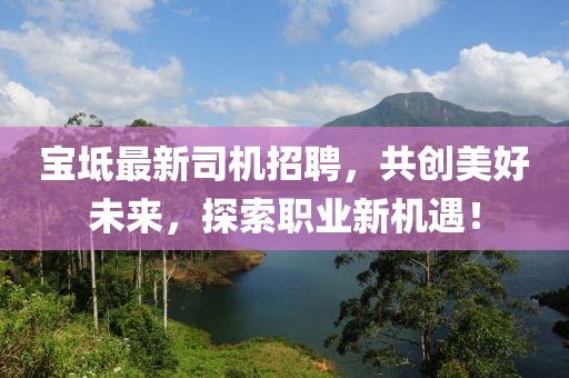 寶坻最新司機(jī)招聘,共創(chuàng)美好未來(lái),探索職業(yè)新機(jī)遇!