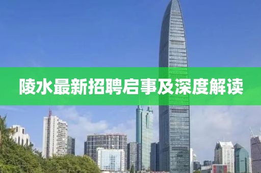 陵水最新招聘啟事及深度解讀