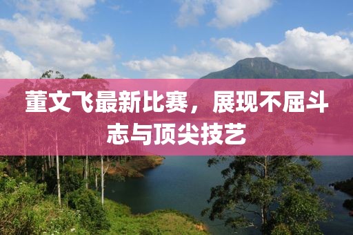 董文飛最新比賽,展現不屈斗志與頂尖技藝