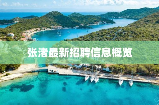 張渚最新招聘信息概覽