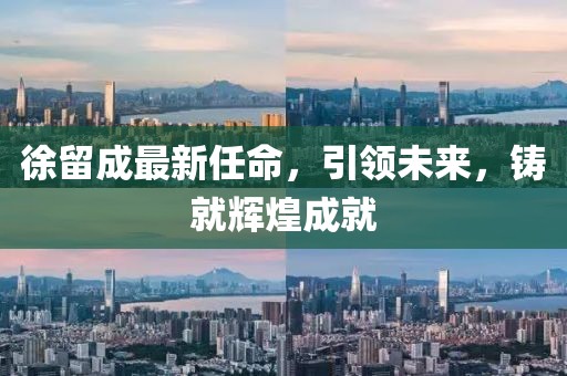徐留成最新任命,引領未來,鑄就輝煌成就