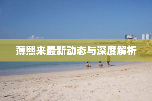 薄熙來最新動態與深度解析