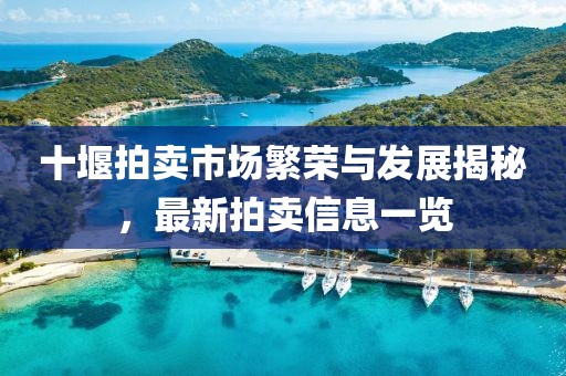 十堰拍賣市場繁榮與發展揭秘,最新拍賣信息一覽