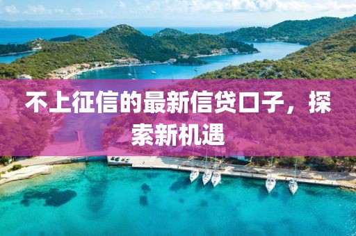 不上征信的最新信貸口子,探索新機遇