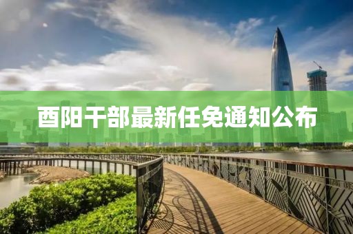 酉陽干部最新任免通知公布