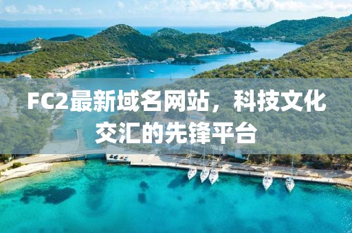 FC2最新域名網站,科技文化交匯的先鋒平臺