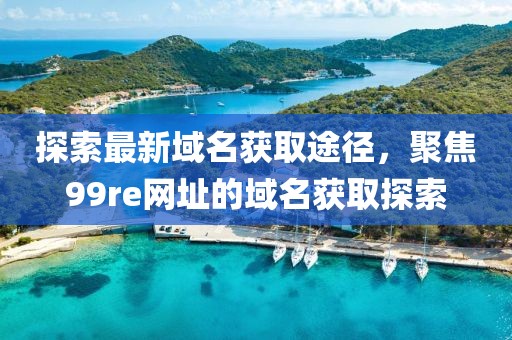 探索最新域名獲取途徑,聚焦99re網址的域名獲取探索