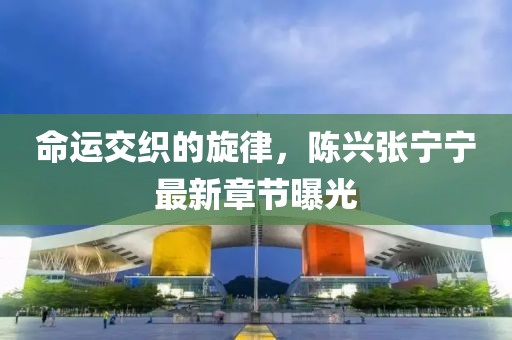 命運(yùn)交織的旋律,陳興張寧寧最新章節(jié)曝光