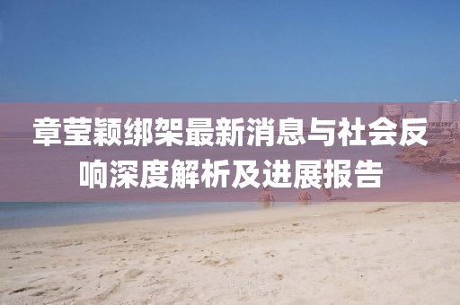 章瑩穎綁架最新消息與社會反響深度解析及進展報告