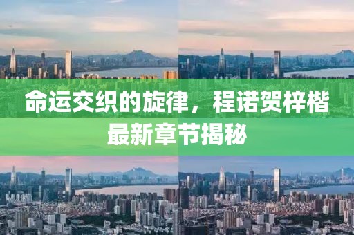 命運交織的旋律,程諾賀梓楷最新章節揭秘