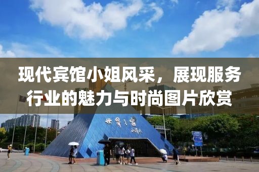 現代賓館小姐風采，展現服務行業的魅力與時尚圖片欣賞