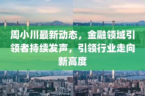 周小川最新動態,金融領域引領者持續發聲,引領行業走向新高度