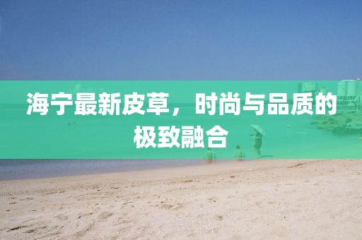 海寧最新皮草,時(shí)尚與品質(zhì)的極致融合