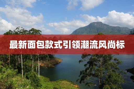 最新面包款式引領(lǐng)潮流風(fēng)尚標(biāo)