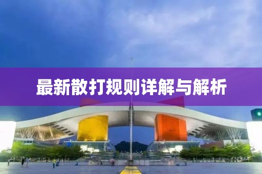 最新散打規則詳解與解析
