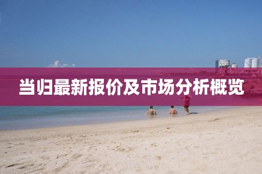 當歸最新報價及市場分析概覽