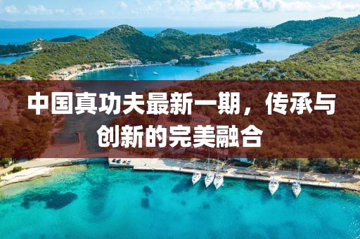 中國真功夫最新一期,傳承與創新的完美融合
