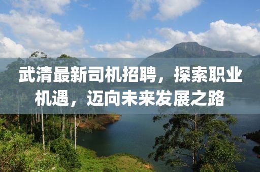 武清最新司機招聘，探索職業機遇，邁向未來發展之路