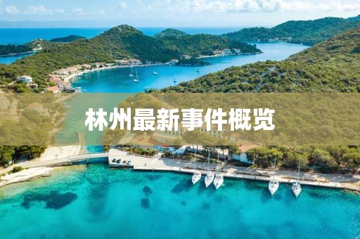 林州最新事件概覽