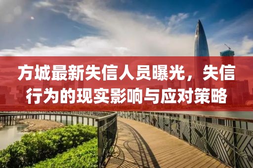 方城最新失信人員曝光,失信行為的現(xiàn)實(shí)影響與應(yīng)對(duì)策略