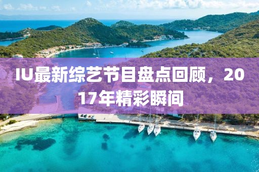IU最新綜藝節目盤點回顧,2017年精彩瞬間