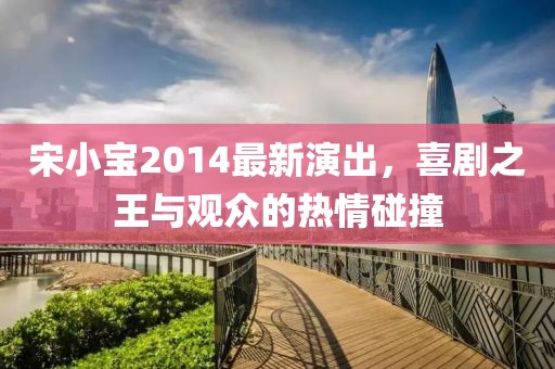 宋小寶2014最新演出,喜劇之王與觀眾的熱情碰撞