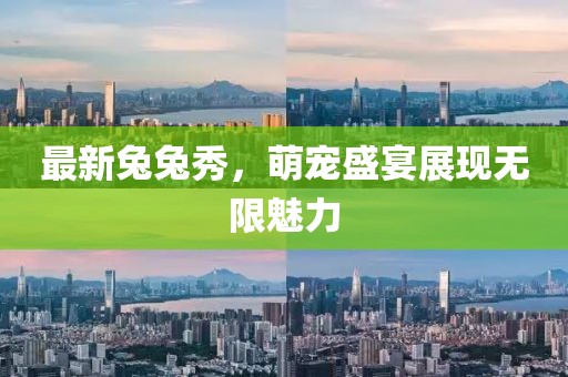 最新兔兔秀,萌寵盛宴展現(xiàn)無限魅力