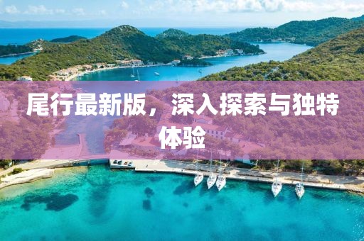 尾行最新版,深入探索與獨(dú)特體驗(yàn)