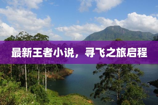 最新王者小說，尋飛之旅啟程