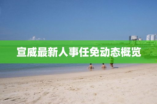 宣威最新人事任免動態概覽