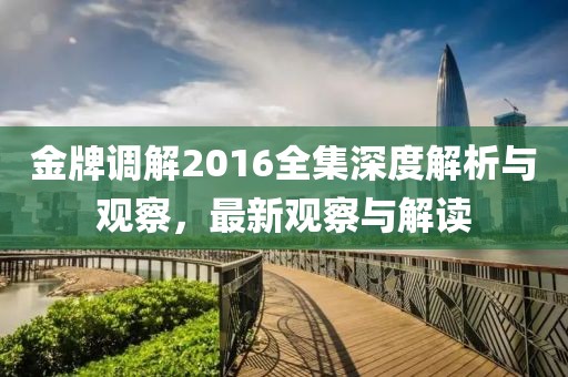 金牌調解2016全集深度解析與觀察,最新觀察與解讀