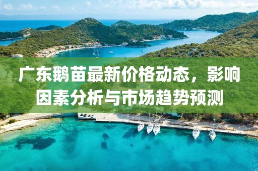 廣東鵝苗最新價格動態,影響因素分析與市場趨勢預測