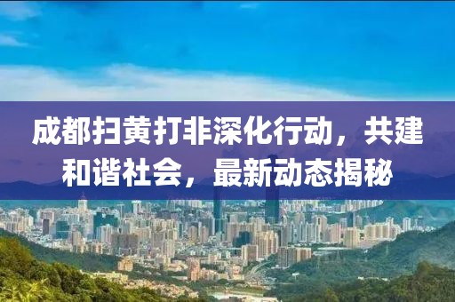 成都掃黃打非深化行動,共建和諧社會,最新動態揭秘