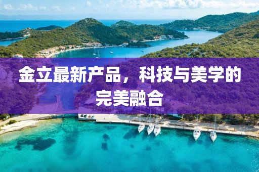 金立最新產(chǎn)品,科技與美學(xué)的完美融合