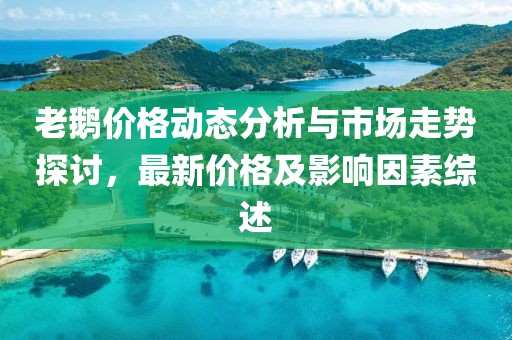 老鵝價格動態分析與市場走勢探討,最新價格及影響因素綜述