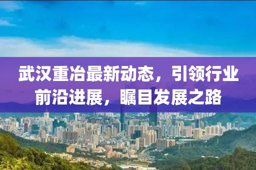 武漢重冶最新動態,引領行業前沿進展,矚目發展之路