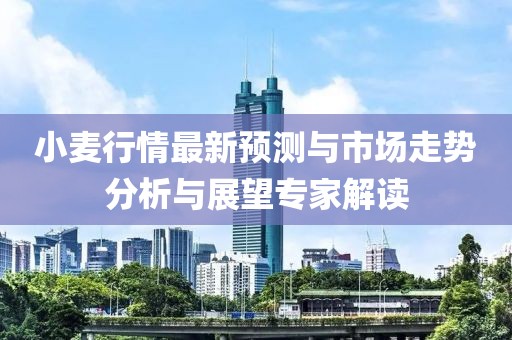 小麥行情最新預測與市場走勢分析與展望專家解讀