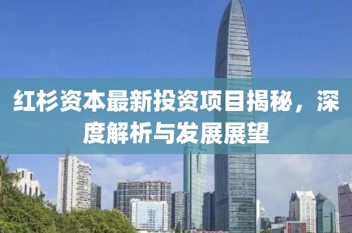 紅杉資本最新投資項目揭秘,深度解析與發(fā)展展望