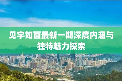 見字如面最新一期深度內涵與獨特魅力探索
