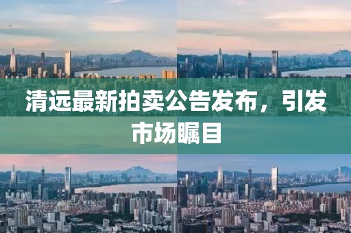 清遠(yuǎn)最新拍賣公告發(fā)布,引發(fā)市場矚目