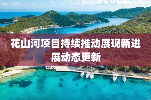花山河項目持續推動展現新進展動態更新