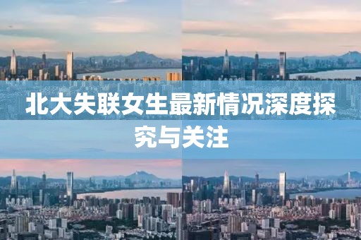 北大失聯女生最新情況深度探究與關注