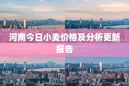 河南今日小麥價格及分析更新報告