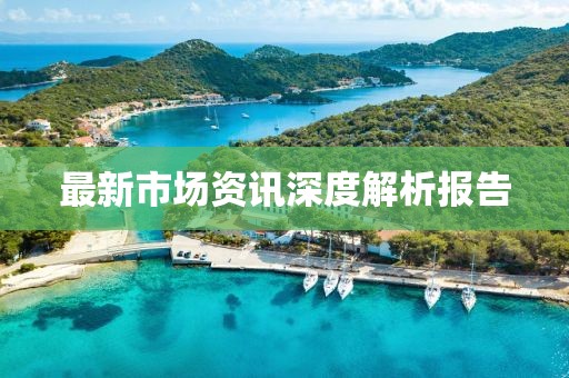 最新市場資訊深度解析報告