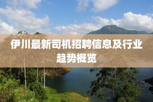 伊川最新司機(jī)招聘信息及行業(yè)趨勢概覽